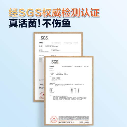 硝化细菌鱼池用净水剂分解鱼便养鱼消化活菌液锦鲤鱼缸水质稳定剂