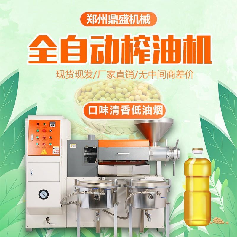 全自动热榨冷榨生榨榨油机椰子油不锈钢榨油机