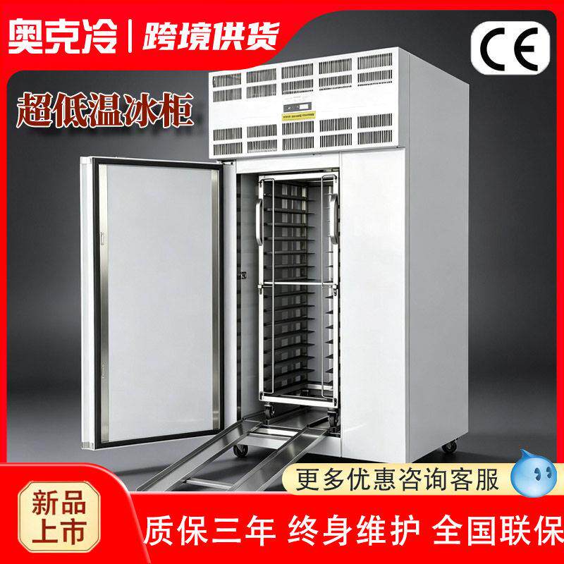 速冻柜商用急冻冰箱零下80度速冻机40度60度立式超低温冰柜