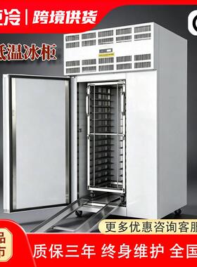 速冻柜商用急冻冰箱零下80度速冻机40度60度立式超低温冰柜
