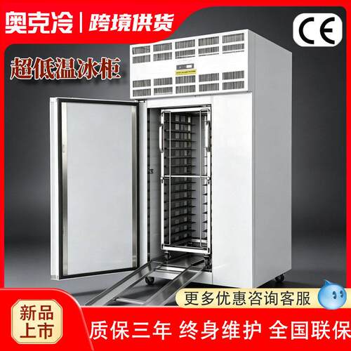 速冻柜商用急冻冰箱零下80度速冻机40度60度立式超低温冰柜