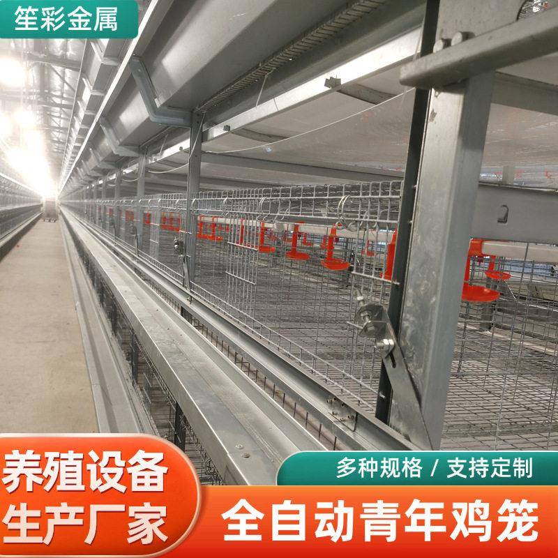自动化青年鸡笼层叠式农场大棚鸡舍养鸡自动清粪上料机械畜牧设备