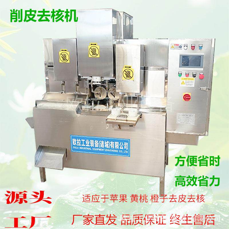 果蔬全自动去核加工生产 果蔬片冻干去核切片 水果去皮去核机