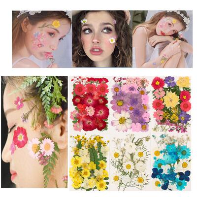 Dried Flowers UV Resin Decorative Natural Flower ers 3D Pres