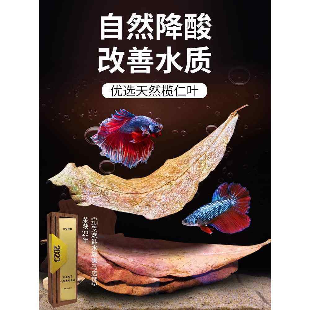 斗鱼榄仁叶懒人叶降酸调节Ph值水族橄榄叶龙眼叶乌龟稳定水质鱼缸,宠物/宠物食品及用品,PH调节剂,淘宝优惠券,粉丝福利购,淘宝优惠卷