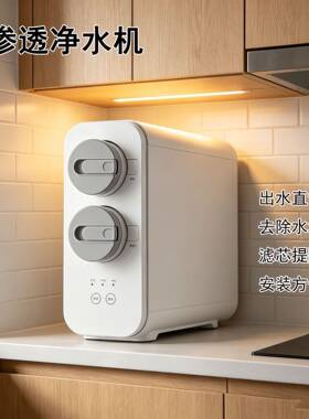 净水器家用直饮机厨房除异味智能净水机大流量反渗透ro过滤饮水机