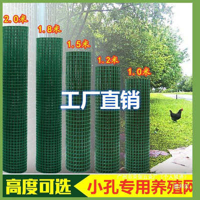 防护网网格钢丝网电焊网荷兰网包塑养殖网养鸡网铁丝网围栏绿小孔