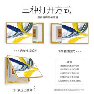 家用电闸翻盖推拉遮横盒挡挂 网红北欧现代羽毛电表饰画免打孔箱版