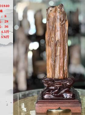 缅甸树化玉摆件木化石观光石原石招财镇宅树化石乔迁开 业送礼品