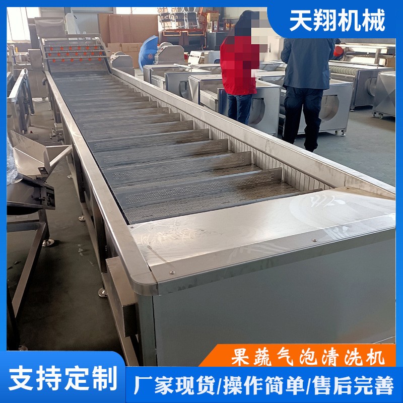 气泡喷淋清洗机马蹄清洗机新疆大枣喷淋式清洗机设备漂烫设备