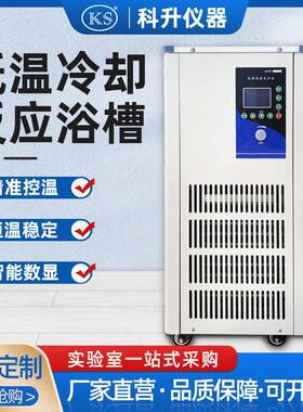 低温冷却反应浴槽DFY-100/20304080120上海科升厂家直销