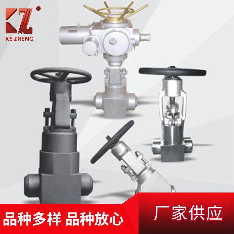 锻钢阀门自密封闸阀高压阀门波纹管阀门浙江厂家直供