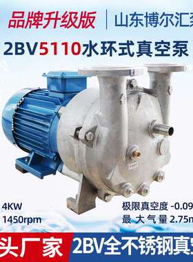 2BV5110水环不锈钢真空泵精铸材质3042BV系列4kw水环式真空泵