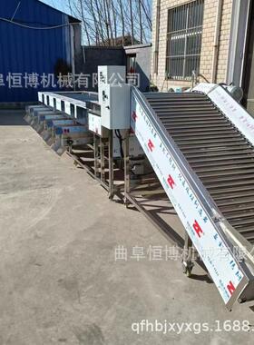 分多功能莓分果机鹌鹑蛋RHJ筛选机 商用千禧果选机 工业草土豆级