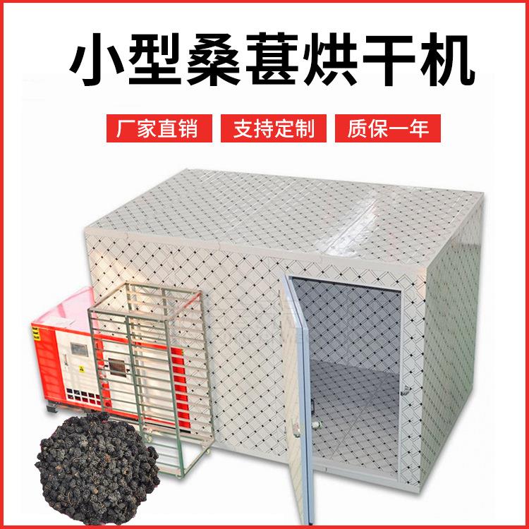 小型桑葚烘干机家用不锈钢箱式干燥设备电加热桑椹子桑叶烘干机