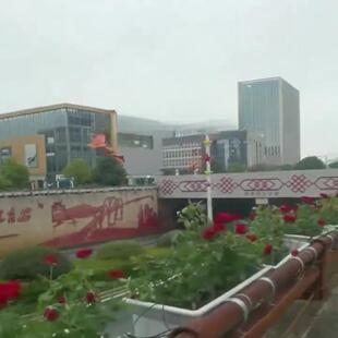 城市路架464桥花箱护栏政道隔市离绿化高商业街广场公园锌钢围栏