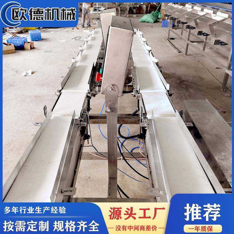 小龙虾自动选别机鳕鱼自动分选机海参鲍鱼分选秤在线检重设备