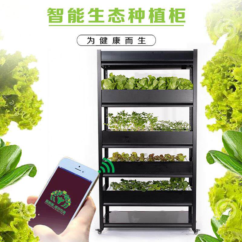 智能种植机 室内种菜机 水培种菜机 家庭无土栽培设备 厂家直销
