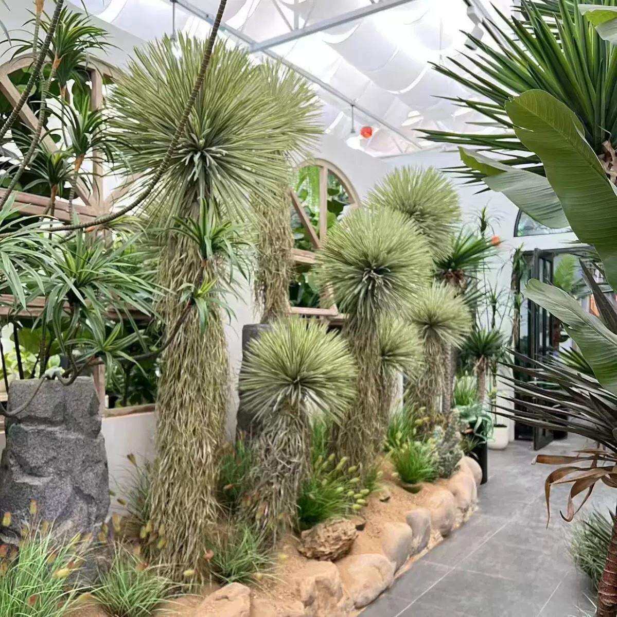 仿真稻草人 真大型仿生植物盆栽 户外花园庭院 场景布置
