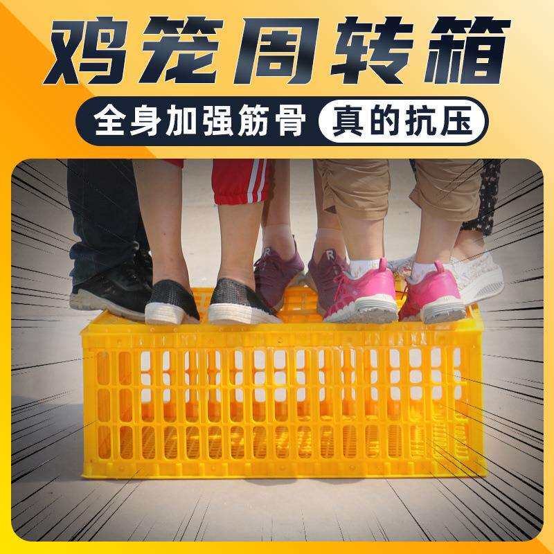 运输鸡笼加厚成鸡周转箱特大周转筐鸭鹅鸽子笼鸡笼子家用养殖笼子