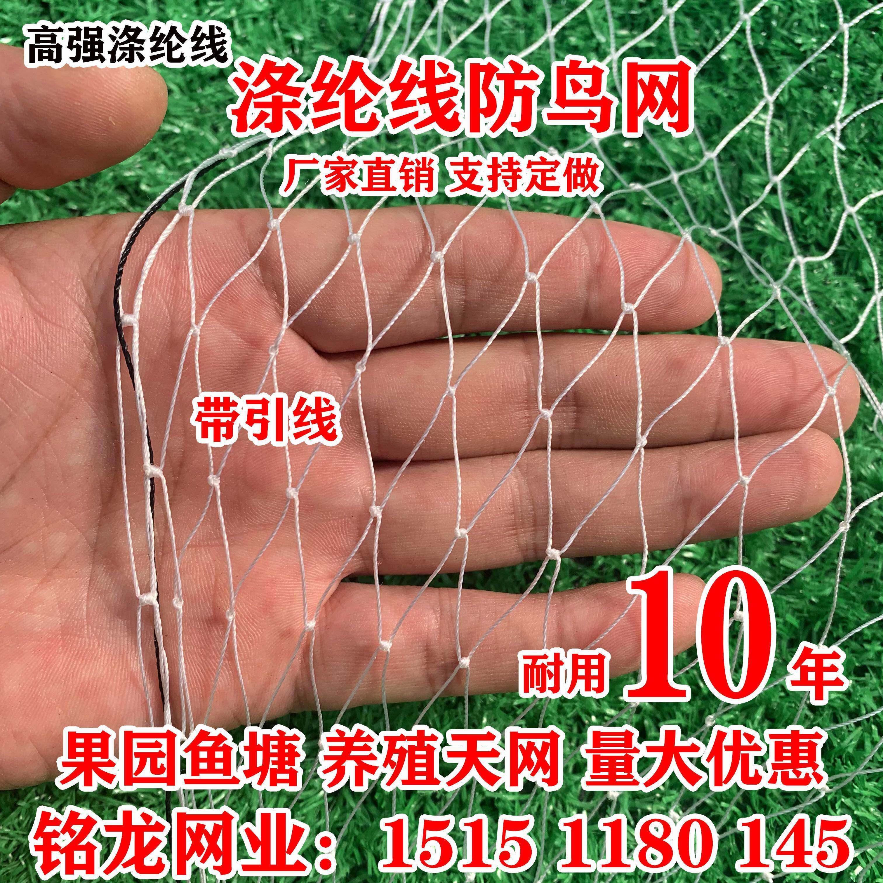 高强聚酯纤维防鸟网果园鱼塘尼龙覆丝葡萄草莓大棚边网牛蛙锦鲤养