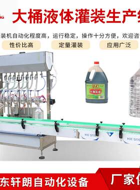 食用油豆油全自动灌装机山东厂家20L白酒液态肥灌装机直线灌装机