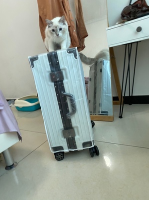 BINGER行李箱怎么样一周使用见证质量真相/