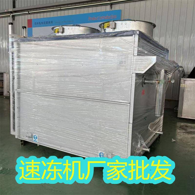 鱿鱼带鱼海鲜整条速冻设备大风量均匀制冷避免局部冻伤发黑