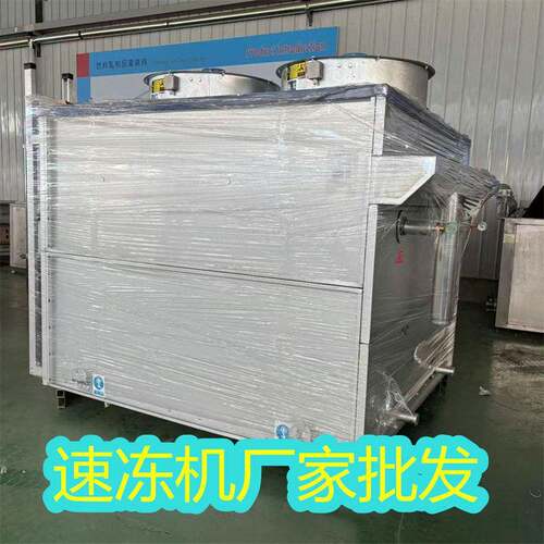 不锈钢冷冻隧道果蔬深加工线荔枝速冻设备厂家电话