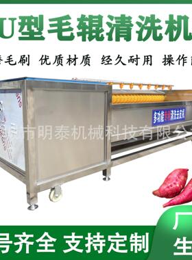 大头菜U型毛辊清洗机 萝卜大姜清洗去泥机 材柴胡葛根清洗机