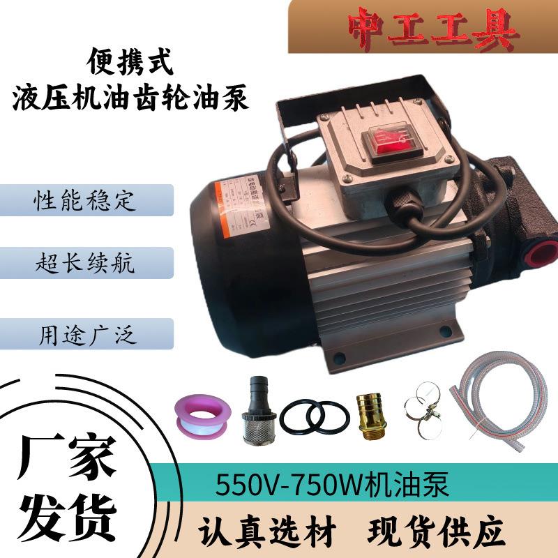 厂家铜线220V-750W电动抽油泵加油泵便携式机油齿轮液压油抽油泵