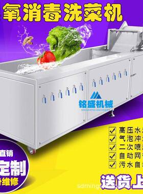 新品款大白玉芒清洗机白哺鸡笋臭氧杀菌清洗机甜龙竹笋清洗设备