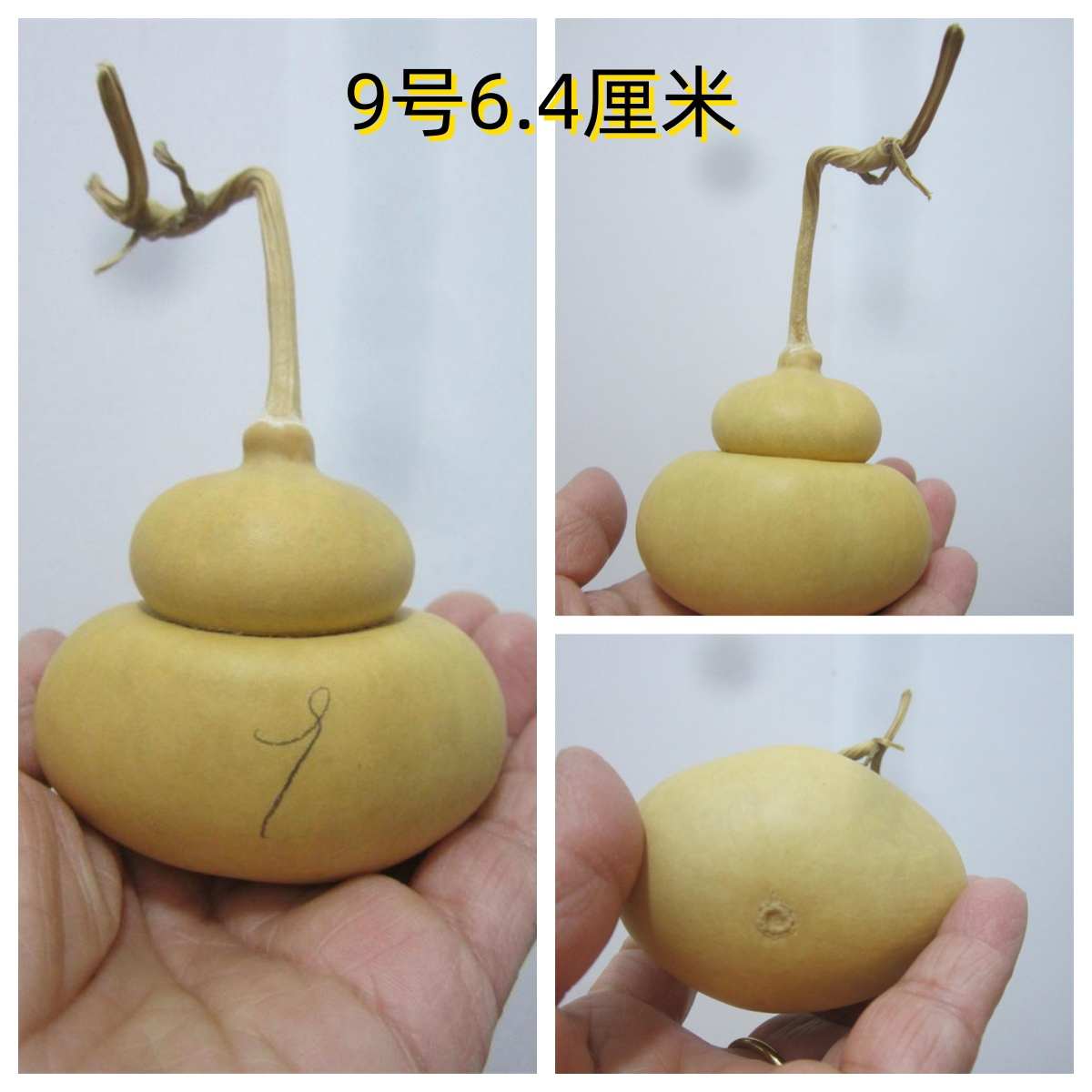 天然异形元宝钱袋葫芦摆件钱袋布袋福袋窝脖葫芦文玩手捻把玩