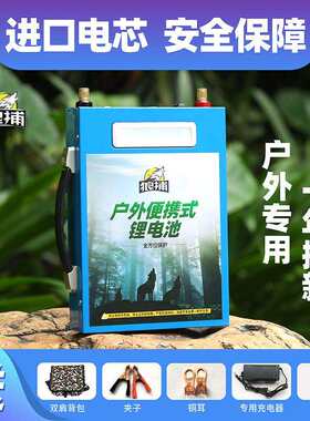锂电池12V大容100ah60安伏动力铝蓄电池大功率大容量三元户外超轻