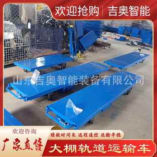 现货支持遥控平板双轨菜运输车农用菜轨道车75306大棚内送拉设备