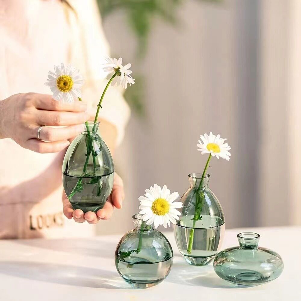迷你小玻璃瓶玻璃小花瓶牛油透明铜钱草水培器皿桌面插花摆件绿植