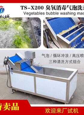 现货供应辣椒清洗机 枸杞清洗生产设备 净菜加工流水线配套清洗机