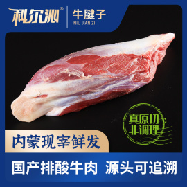 科尔沁牛腱子冷鲜清真牛肉3斤装草原新鲜黄牛肉原切肉不拼接