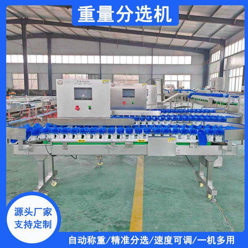 秋月梨重量分选机苹果转盘料盒式重量分选机鱿鱼凤爪重量分选机