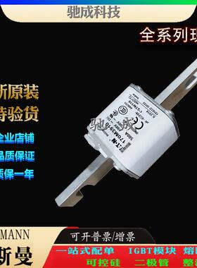 巴斯曼170M3921 170M3922 170M3923 厂家供货销售 快熔保险丝