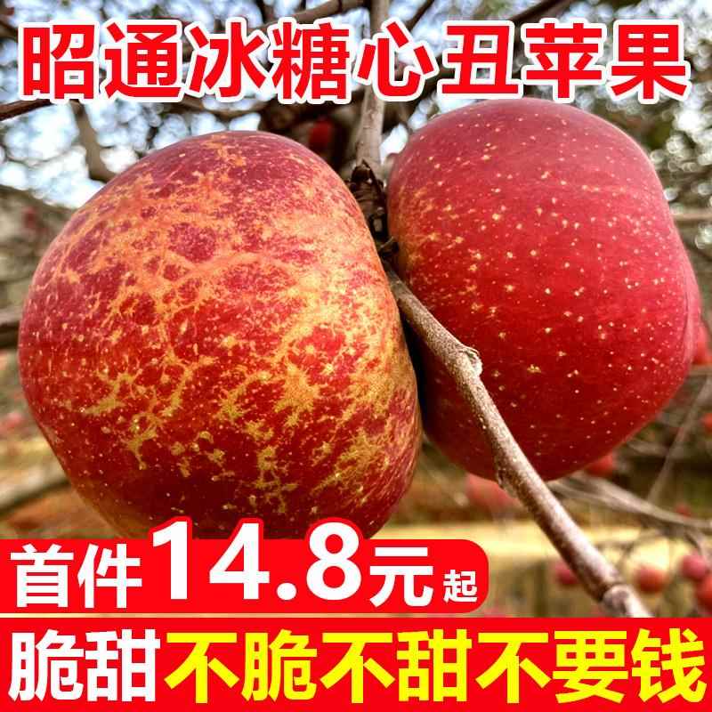 云南昭通丑苹果冰糖心苹果水果新鲜脆甜10斤红露富士当季整箱包邮