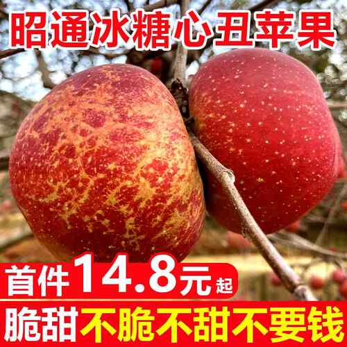 云南昭通丑苹果冰糖心苹果水果新鲜脆甜10斤红露富士当季整箱包邮