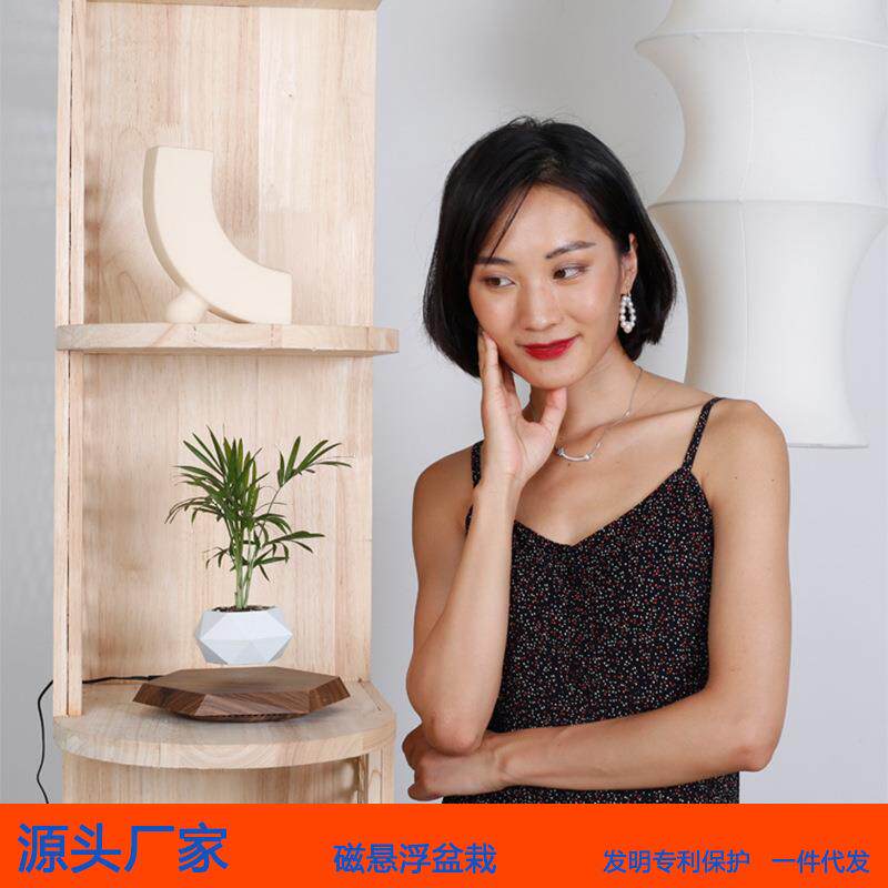 磁盆悬SIM10-PZ浮摆栽饰花盆悬浮花磁悬浮植物家居装件源头厂家