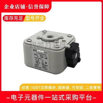 170M6499170M6500170M6501170M6644170M6645全新熔断器现货