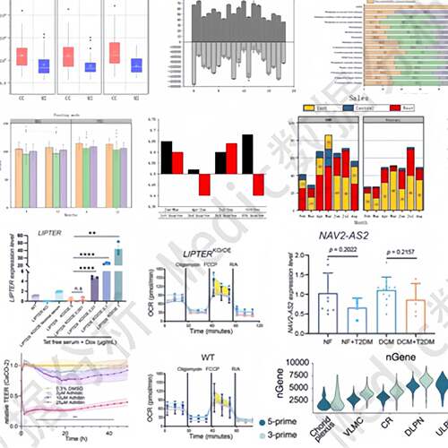 医学SCI作图graphpadPrism科研绘图PCR数据统计ELISA分析图片定制