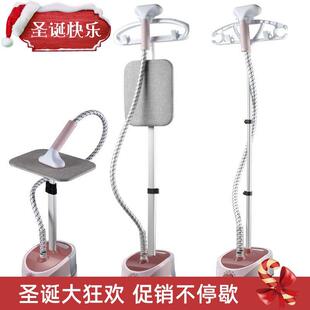 electric compact iron steam soleplate clothes steamer 电熨斗