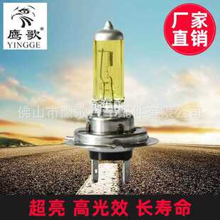 新款直销鹰歌H7 12V100W黄金光汽车卤素大灯泡近光灯前雾灯雨雾天