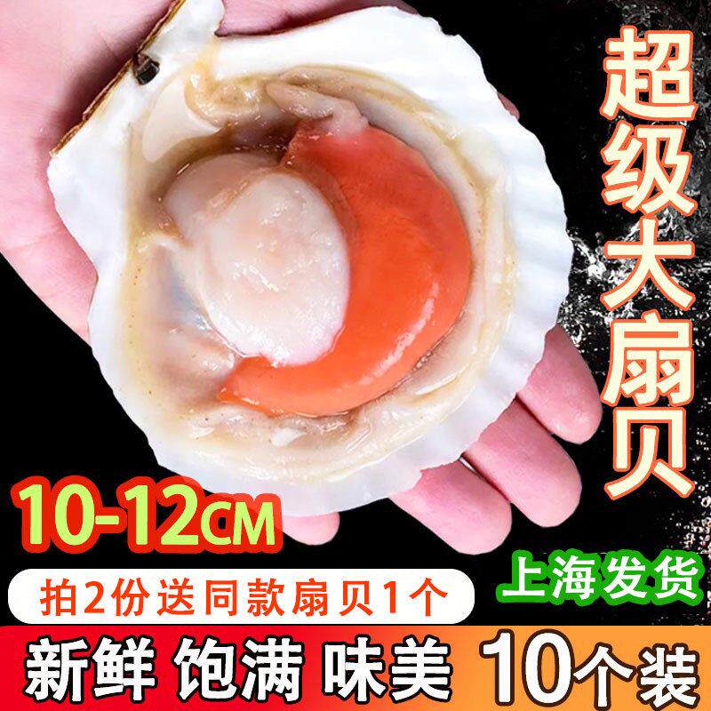 扇贝鲜活特大半壳商用冷冻新鲜蒜蓉粉丝烧烤10粒海鲜带壳虾夷扇贝