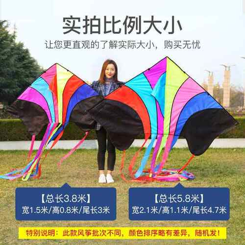 网红飞天风筝大人专用大型高档儿童微风易飞超特大巨型成人2020版