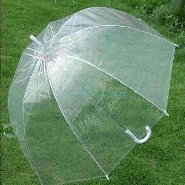 Fashion Clear Bubble Dome Umbrella Transparent Windproof - 实物图